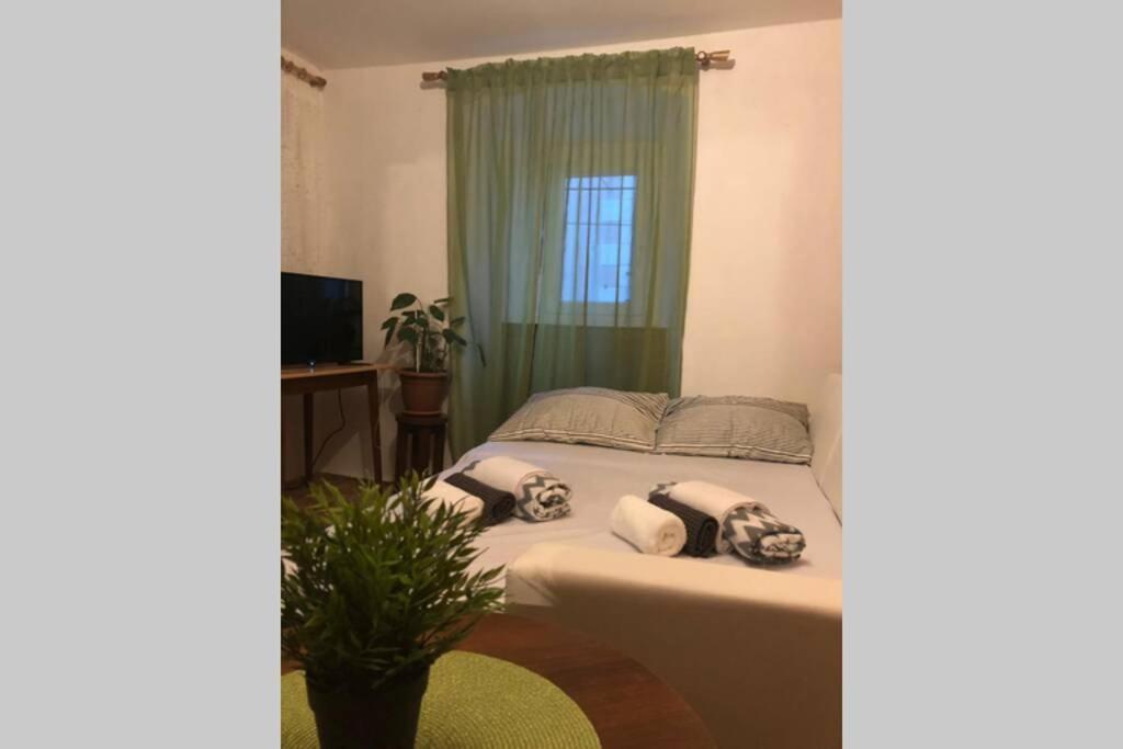 Apartman Kadic Senj Senj  Εξωτερικό φωτογραφία