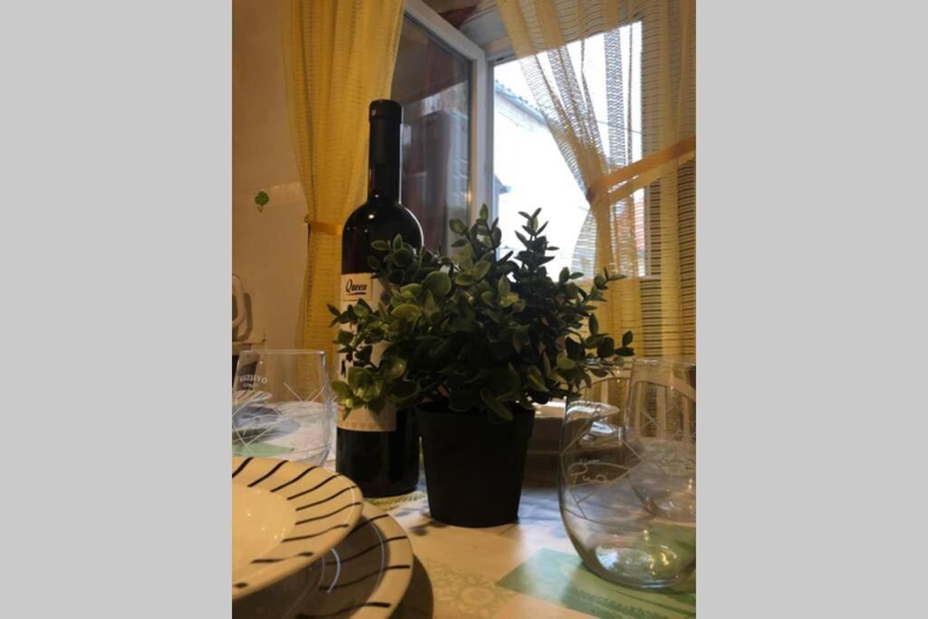 Apartman Kadic Senj Senj  Εξωτερικό φωτογραφία