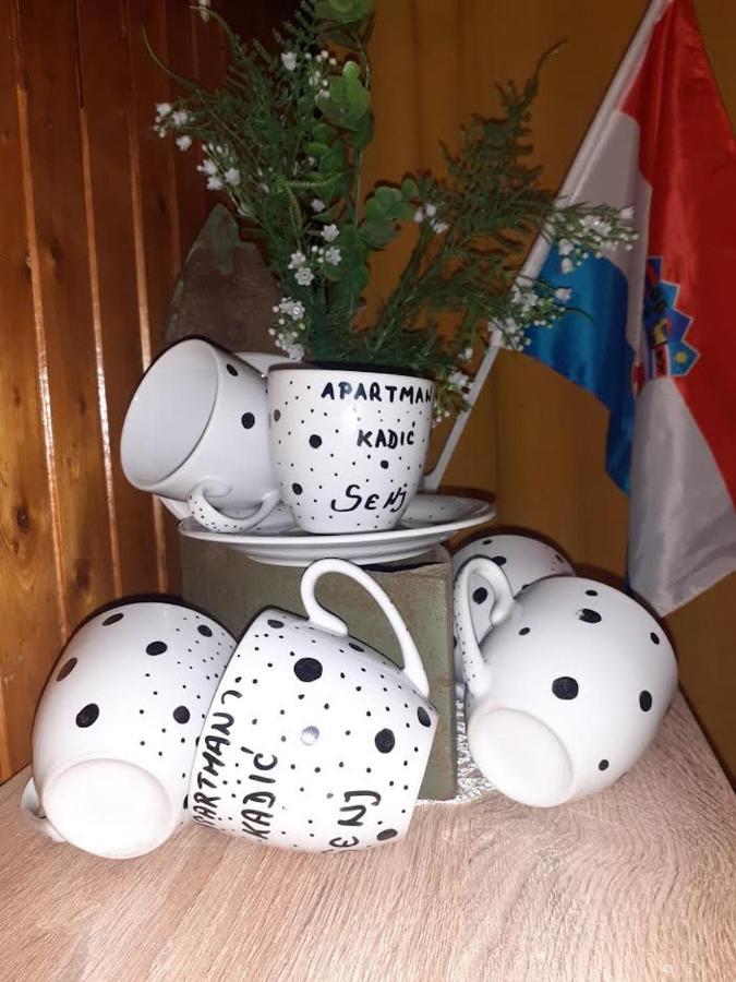Apartman Kadic Senj Senj  Εξωτερικό φωτογραφία